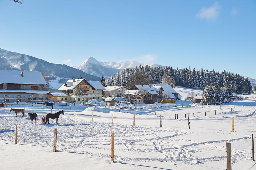 Pension Vorberghof- Bauernhofurlaub Ramsau am Dachstein Ngoại thất bức ảnh
